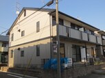 サンフラワー　B