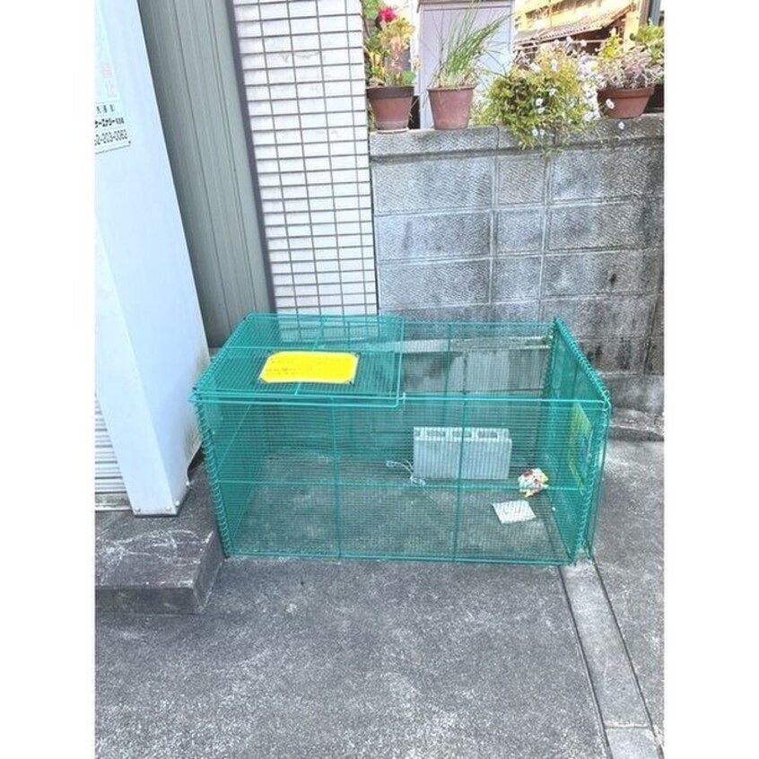 その他 ロレイアム