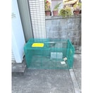 その他 ロレイアム