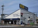ゲオ亀島店(ビデオ/DVD)まで1000m ロレイアム