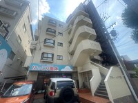 ブルーウィング原