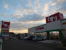 スギ薬局大地町店(ドラッグストア)まで640m パシモスクＫ