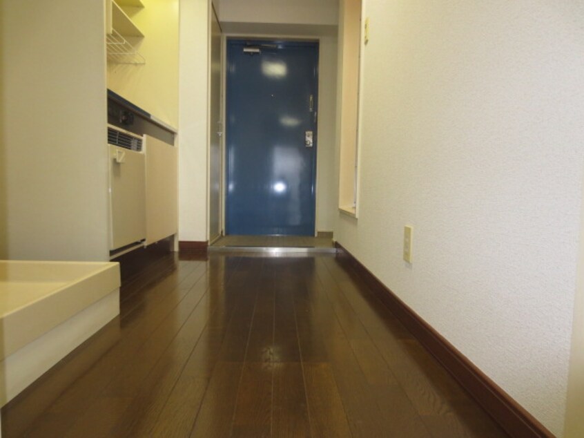 廊下 ラッキ－キャット