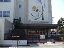 田代小学校(小学校)まで541m ＧＣ覚王山