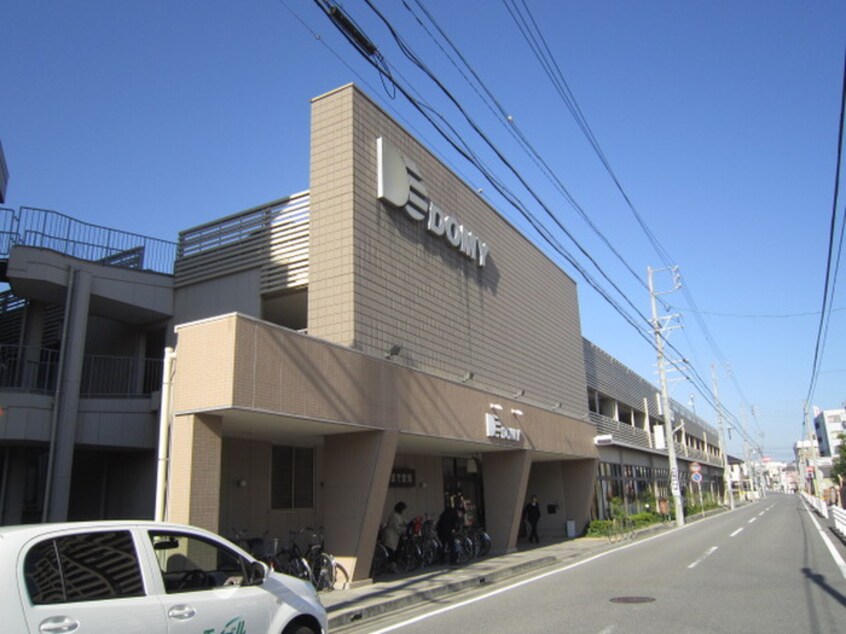 ドミー岡崎駅東店(スーパー)まで308m ロワール