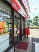 ニューヤマザキディリーストア(コンビニ)まで278m パレス中川　Ⅱ