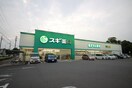 スギ薬局(ドラッグストア)まで564m パレス中川　Ⅱ
