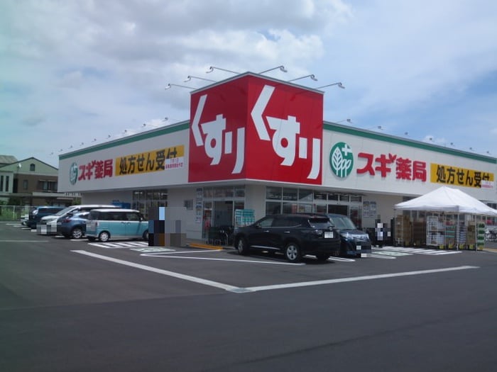 スギ薬局中川南店(ドラッグストア)まで731m ルピナス・イースト