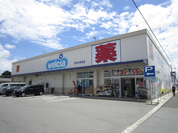 ウェルシア(ドラッグストア)まで250m イストワ－ル大樹寺