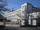八事東小学校(小学校)まで230m リバーサイド