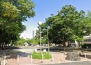 千早公園(公園)まで1100m 新栄アネックス
