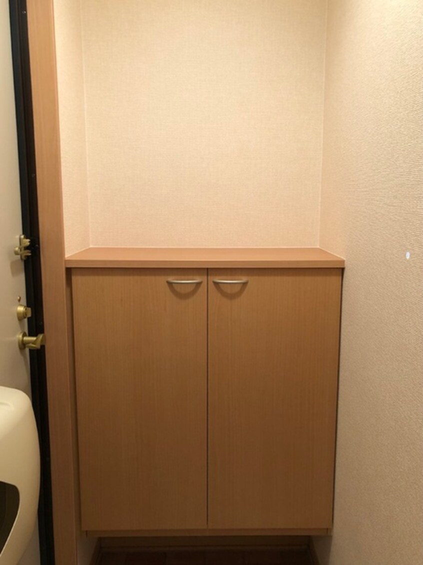 靴箱 カラコレス