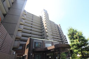 ﾗｲｵﾝｽﾞﾏﾝｼｮﾝﾆｭ-ｼﾃｨ師勝(314)