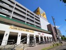 アピタ長久手店(スーパー)まで1430m カ－サ小井堀