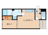 ドルフ月見 1LDKの間取り