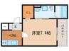 Monstera 野並 1Kの間取り