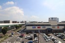 室内からの展望 レスカール白金