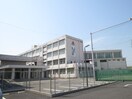 春日井市立知多中学校(中学校/中等教育学校)まで450m エス・ブロード