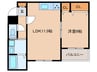 仮)中川区塔堂屋敷AP 1LDKの間取り