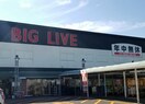 BIG LIVE(スーパー)まで650m シャンボール・ピア
