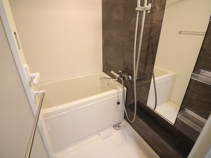 バス／シャワールーム等 セイワパレス丸の内駅前プレミア