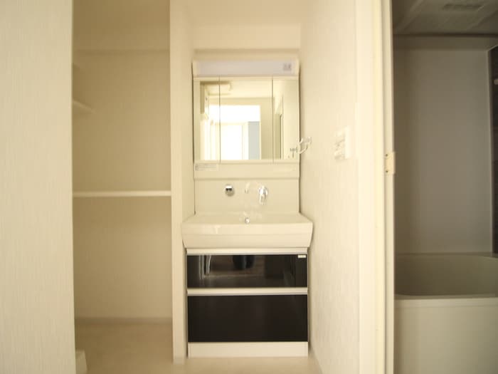 洗面 セイワパレス丸の内駅前プレミア