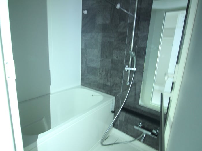 バス／シャワールーム等 セイワパレス丸の内駅前プレミア