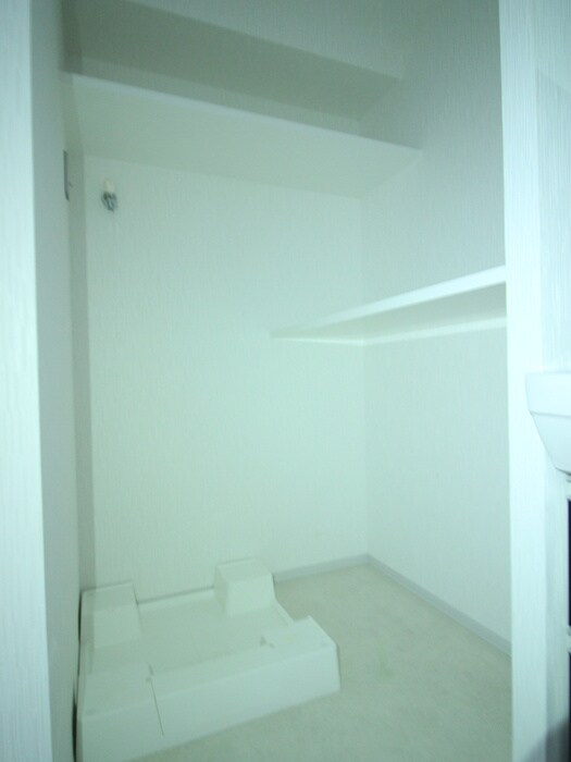 洗濯機置場 セイワパレス丸の内駅前プレミア