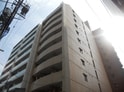 完成写真
