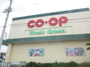 ＣＯＯＰ(スーパー)まで1120m フェリシティー大高