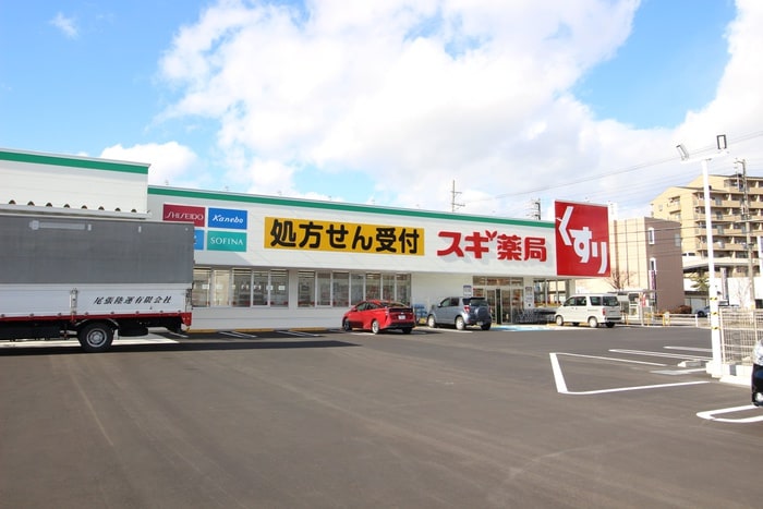 スギドラッグ(ドラッグストア)まで284m サープラス中ノ坪