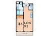 ＭＴ栄 1LDKの間取り