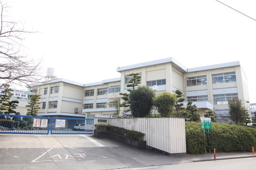 若園中学校(中学校/中等教育学校)まで1000m ラコリーナ花園
