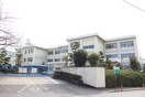 若園中学校(中学校/中等教育学校)まで1000m ラコリーナ花園