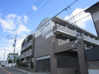 パピリオ花の木