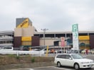 アピタ(スーパー)まで789m ジョイフル大府
