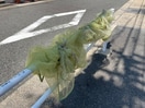 その他 プロクシィスクエア徳川