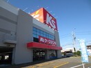 ケーズ電気(電気量販店/ホームセンター)まで350m プラシード