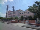 名古屋市立正保小学校(小学校)まで291m 川間ホーメストハイツ