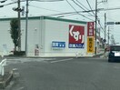 スギ薬局(ドラッグストア)まで429m 明治本町戸建