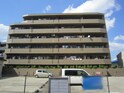 完成写真