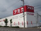 アミカ(スーパー)まで401m サンティ－ル