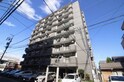 完成写真