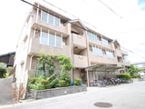 ｼﾃｨ･ﾗｲﾌ島田