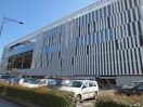 i ビル(ショッピングセンター/アウトレットモール)まで1200m 桜２丁目戸建て