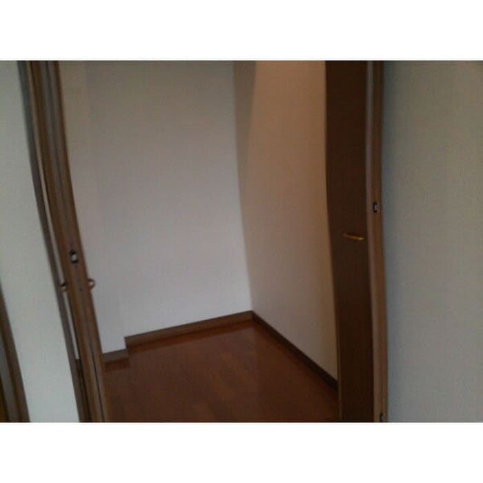 収納 アンプル－ルリ－ブルソレア－ド