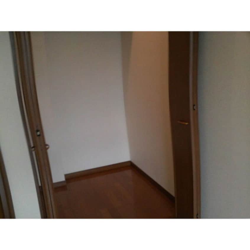 収納 アンプル－ルリ－ブルソレア－ド