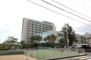 刈谷豊田総合病院(病院)まで2000m アンプル－ルリ－ブルソレア－ド