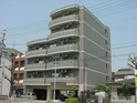 完成写真