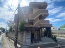 Primiyellの外観